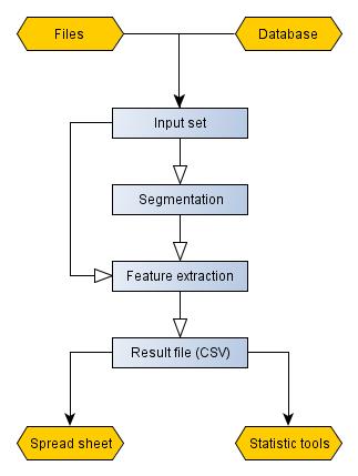 |MF| overview